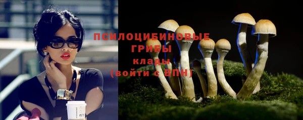 гидра Баксан
