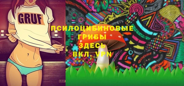 гидра Баксан